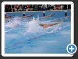 Equipo de Natacion 6
